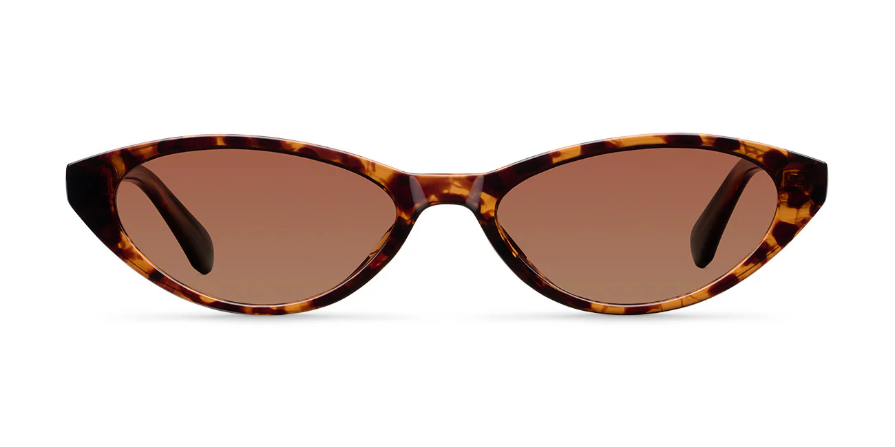 sunglasses new in ss 21